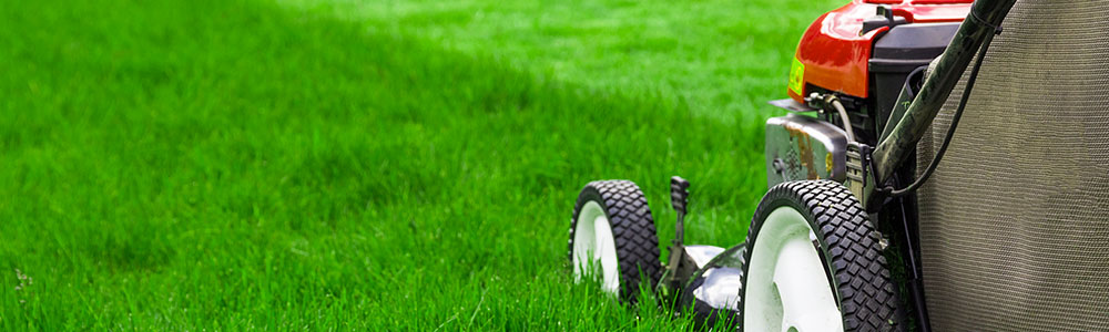 SoClean Gardening Services Grass Cutting